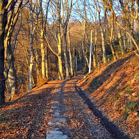 Il Poggio * Brunate