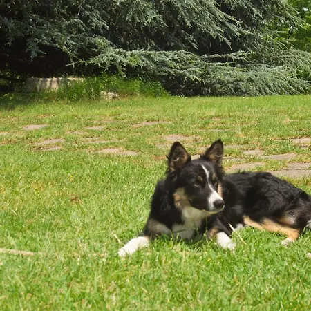 Country house Il Poggio *